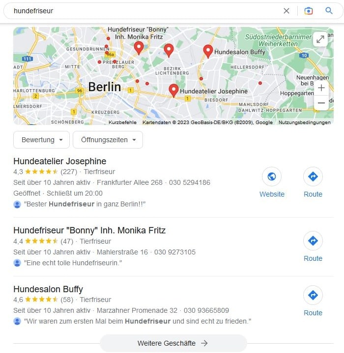 Website erstellen und Local SEO für Hundefriseur Website erstellen und Local SEO für Hundefriseur