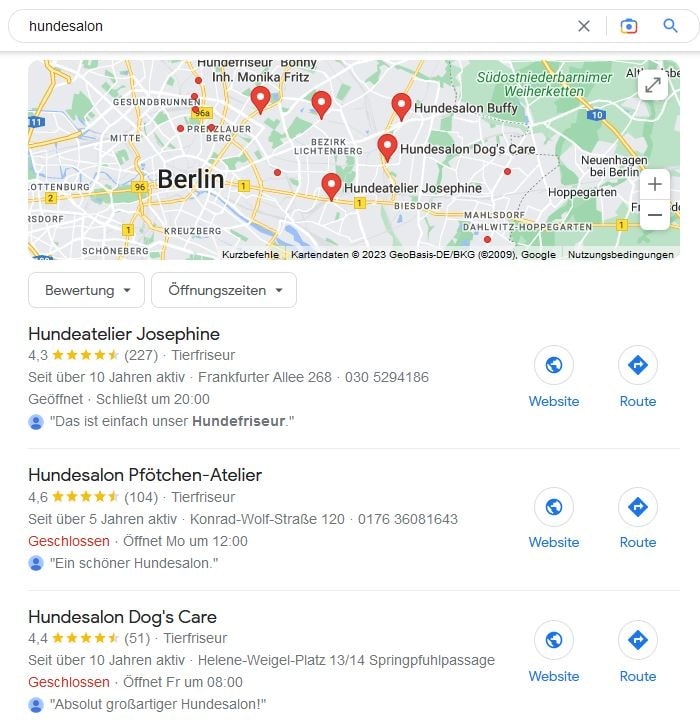 Website erstellen und Local SEO für Hundesalon Website erstellen und Local SEO für Hundesalon